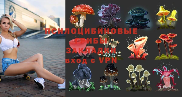 мескалин Алексин