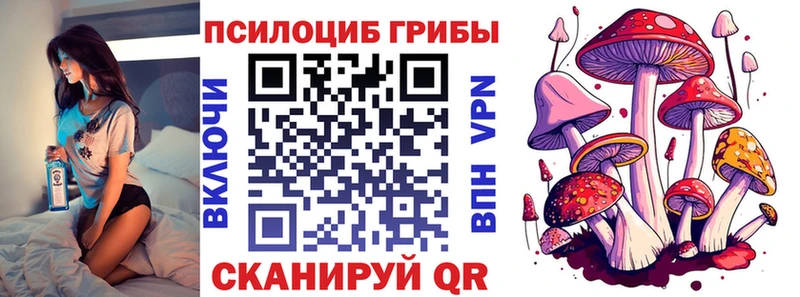 Псилоцибиновые грибы MAGIC MUSHROOMS сколько стоит Зеленоградск