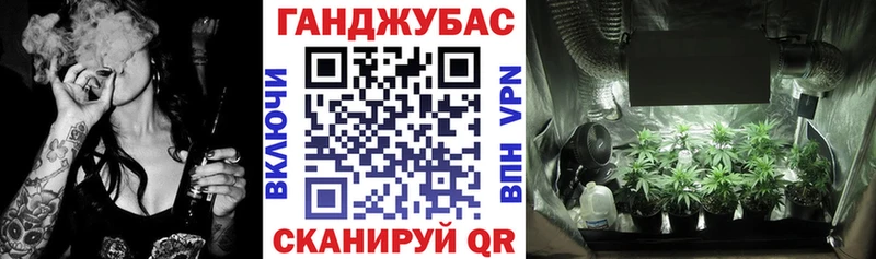 где купить наркоту  Зеленоградск  shop телеграм  Бошки Шишки гибрид 